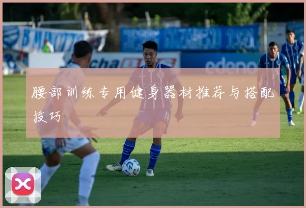 腰部训练专用健身器材推荐与搭配技巧