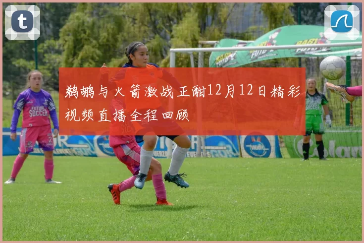鹈鹕与火箭激战正酣12月12日精彩视频直播全程回顾