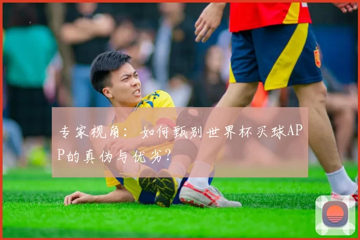 专家视角：如何甄别世界杯买球APP的真伪与优劣？