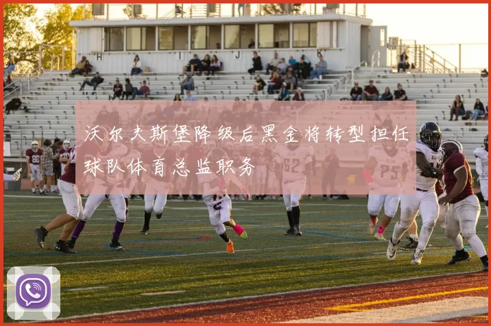 沃尔夫斯堡降级后黑金将转型担任球队体育总监职务
