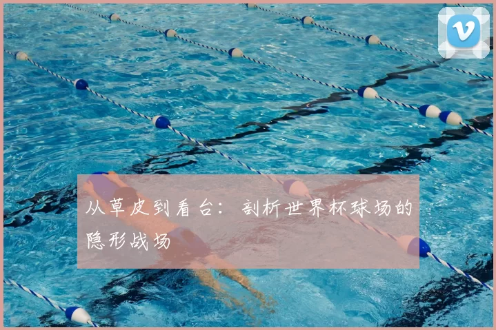 从草皮到看台：剖析世界杯球场的隐形战场
