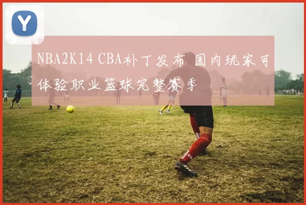 NBA2K14 CBA补丁发布 国内玩家可体验职业篮球完整赛季