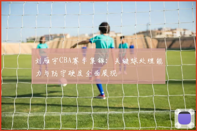 刘雁宇CBA赛季集锦：关键球处理能力与防守硬度全面展现