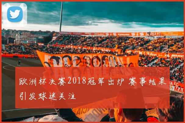 欧洲杯决赛2018冠军出炉 赛事结果引发球迷关注
