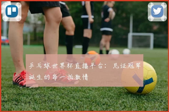 乒乓球世界杯直播平台：见证冠军诞生的每一拍激情