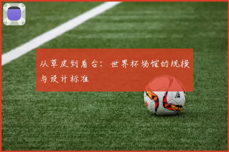 从草皮到看台：世界杯场馆的规模与设计标准