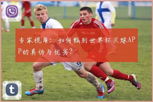 专家视角：如何甄别世界杯买球APP的真伪与优劣？
