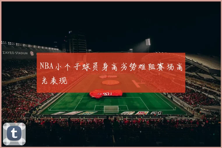NBA小个子球员身高劣势难阻赛场高光表现