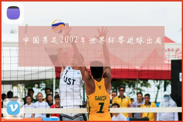 中国男足2002年世界杯零进球出局